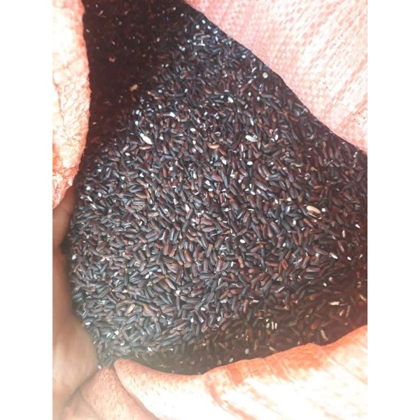 Gạo nếp cẩm Điện Biên