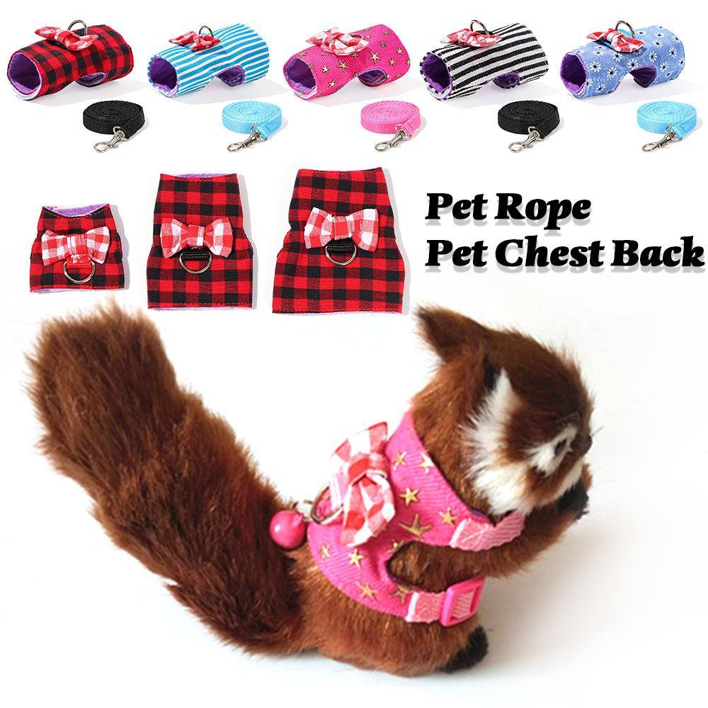 Bộ Dây Đai Và Dây Dắt Dành Cho Lợn Ferret Guinea