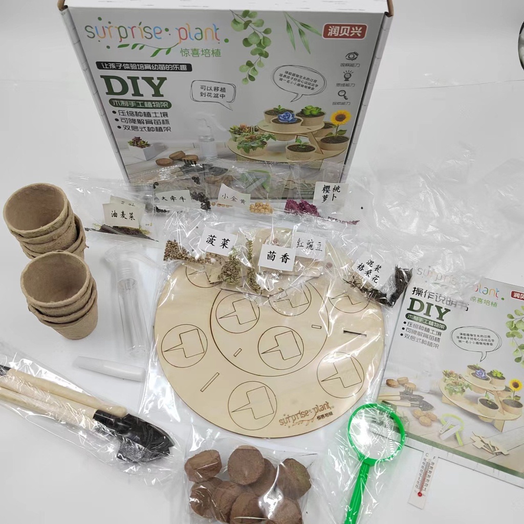 Bộ trồng cây - đồ chơi tư duy giúp bé phát triển toàn diện Bi house
