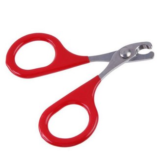 Kéo cắt tỉa móng cho thú cưng