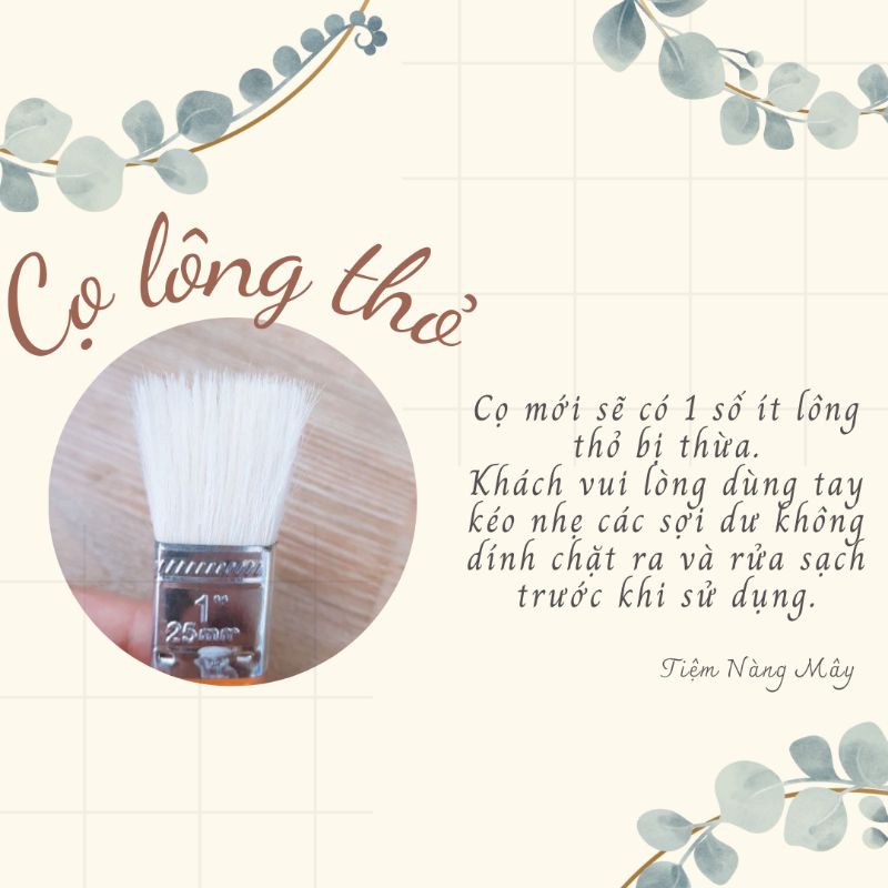 Cọ lông thỏ - bí quyết quét mặt bánh siêu mướt