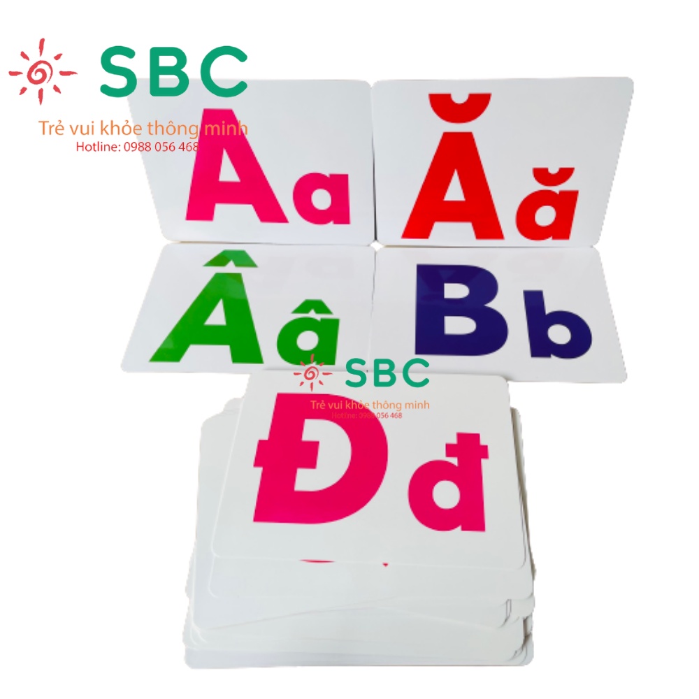 Thẻ học thông minh kích thước lớn 12x16cm tùy chọn - thẻ học in hai mặt Ivory Flashcard TGXQ Glenn doman chuẩn