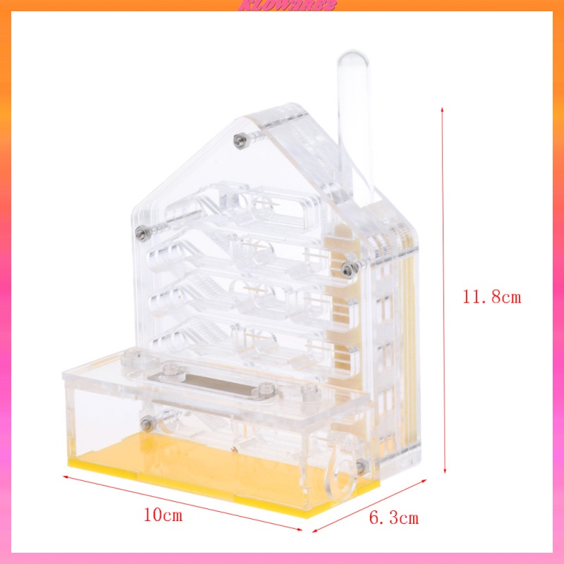 Hộp Nuôi Kiến Bằng Acrylic Trong Suốt Cho Nông Trại