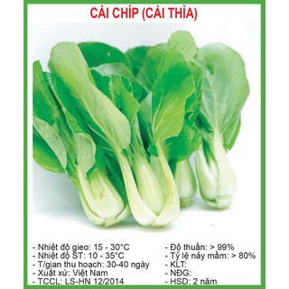 Hạt Giống Cải chíp (Cải thìa) 20 Gram/ Gói