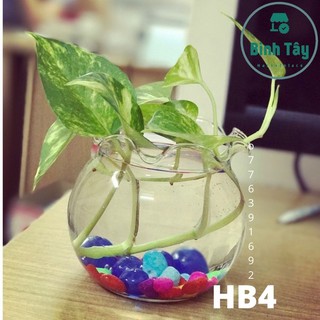 Bể cá thủy tinh, hồ thuỷ sinh GLASS mini FISH TANK TERRARIUM trang trí để bàn văn phòng 500ml BT-HB418 D9 H11