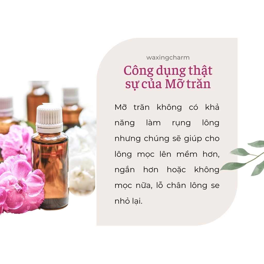 Mỡ Trăn Nguyên Chất Giúp Triệt Lông Tẩy Lông