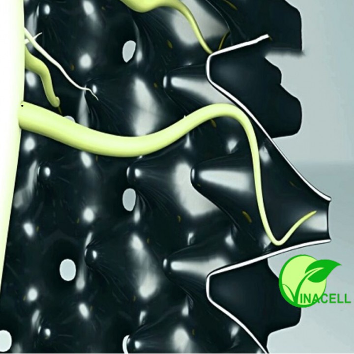 Bầu Ươm Thông Minh Ropot 20 - 30 - 40 - 50 - 60 - 80 - 90 cm dài 5m