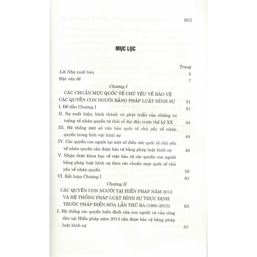 Sách - Bảo Vệ Các Quyền Con Người Bằng Pháp Luật Hình Sự Thực Định Việt Nam (Sách Chuyên Khảo)