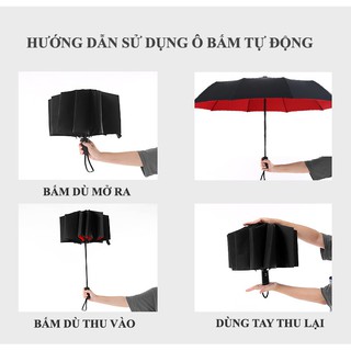 ❣️FREESHIP❣️ Combo 5 Ô gấp, mở tự động cao cấp