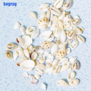 Vỏ ốc tự nhiên trang trí bể cá