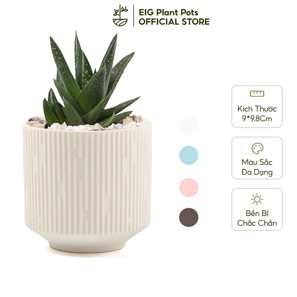 Chậu Nhựa Mini Trồng Cây Melamin Họa Tiết Thạch Cao EIG Y149  10cm Nhiều Màu Cao Cấp Thành Dày Chịu Nhiệt Bền