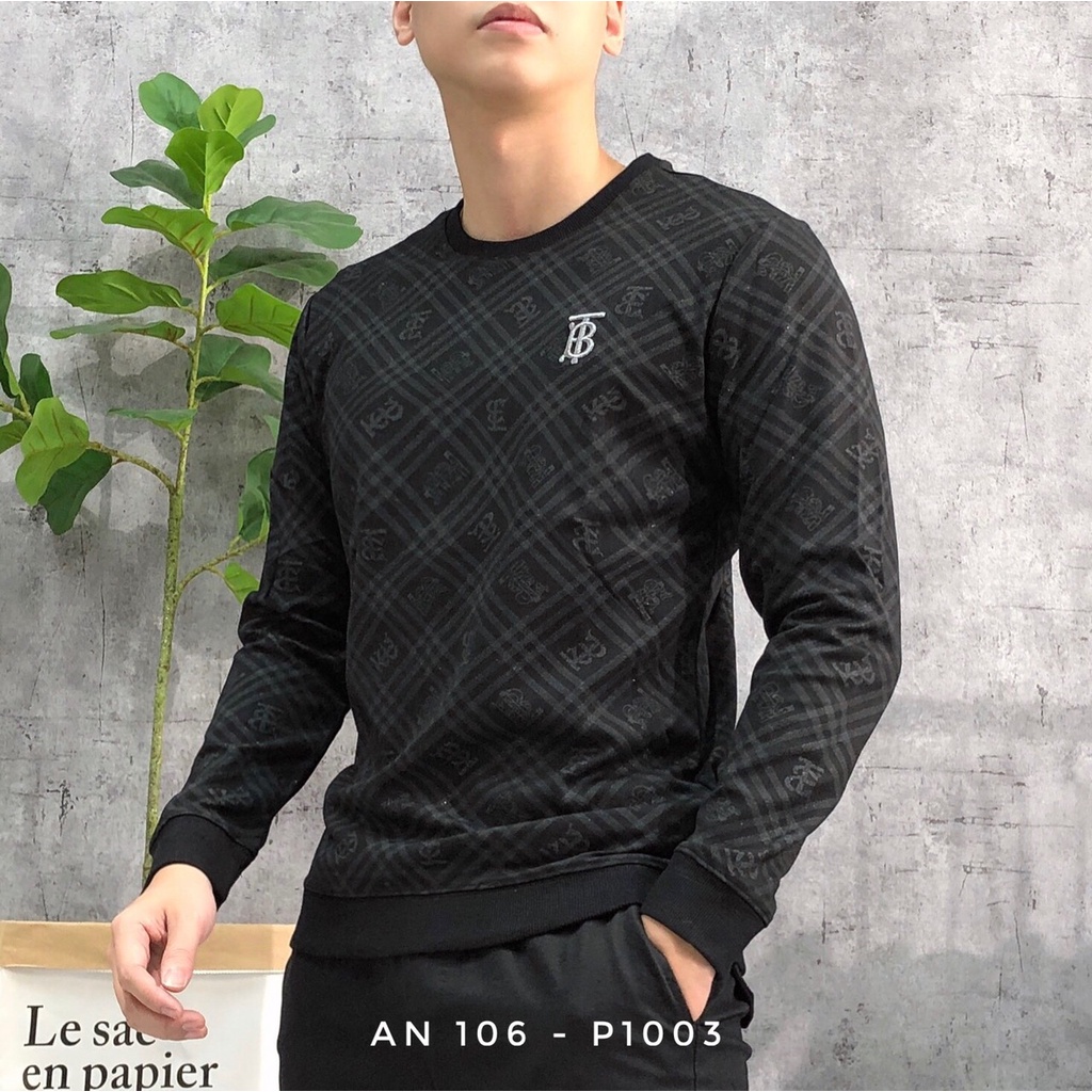 Áo thun nỉ sweater dài tay nam cao cấp cotton AN 106 - P1003