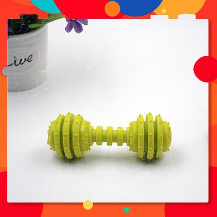 Quả Tạ Đồ Chơi Cao Su Cho Thú Cưng Bằng Cao Su TPR – Mã DCCM26