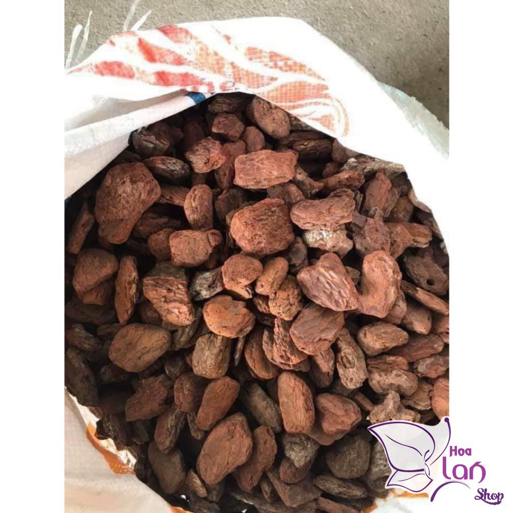 Vỏ Thông Trồng Lan ⚜️FREESHIP⚜️ size 2.5 - 4cm  Mài Cạnh Đã Qua Xử  Lý Dùng Để Lót Đáy Chậu, Túi 500G