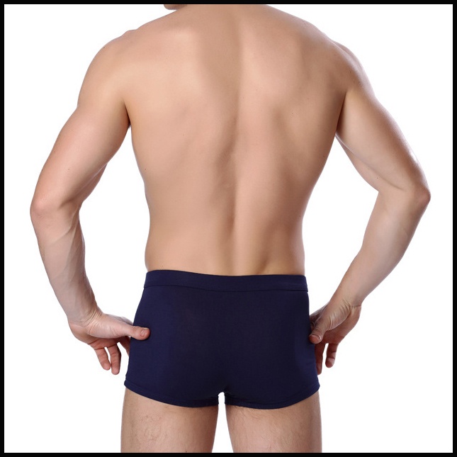 Quần lót nam boxer HangHieu cao cấp dệt sợi tự nhiên kháng khuẩn, khử mùi, thoáng khí - Notiloyal