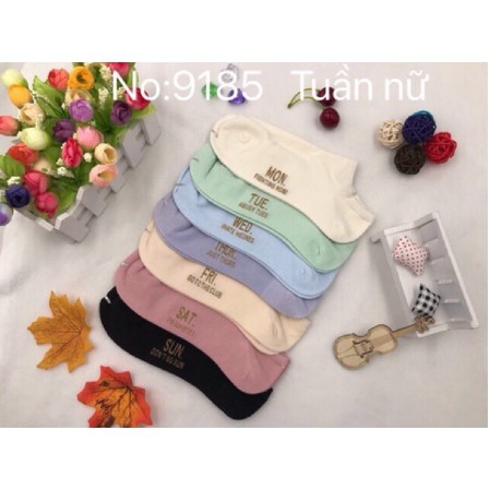 Sét 7 đôi tất tuần 7 ngày nữ cổ ngắn