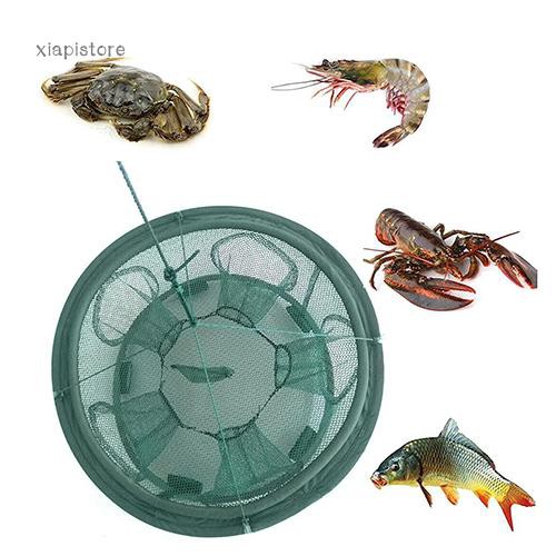 Lưới gấp bắt cá tự động tiện lợi