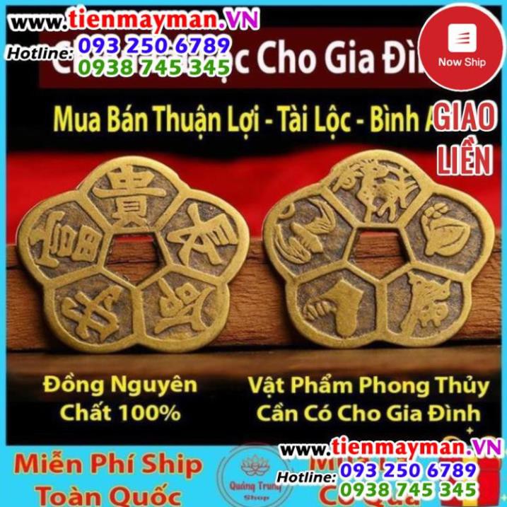 Đồng Tiền Hoa Mai ⭐FREESHIP⭐ Kim Tiền Tài Lộc
