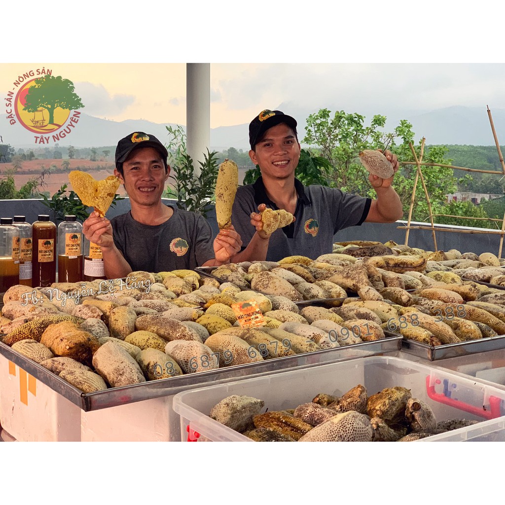 Mật Rừng Ong Ruồi Kon Tum