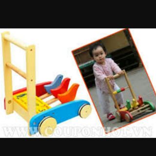Xe tập đi 3 con chim