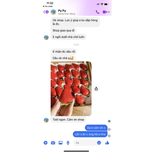 Dâu tây giống Nhật Sky VIP 25-30 trái NGỌT đậm, Thơm ngon, mọng nước.