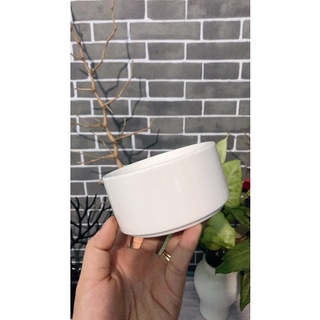 Bộ 2 chậu sứ trắng trồng cây