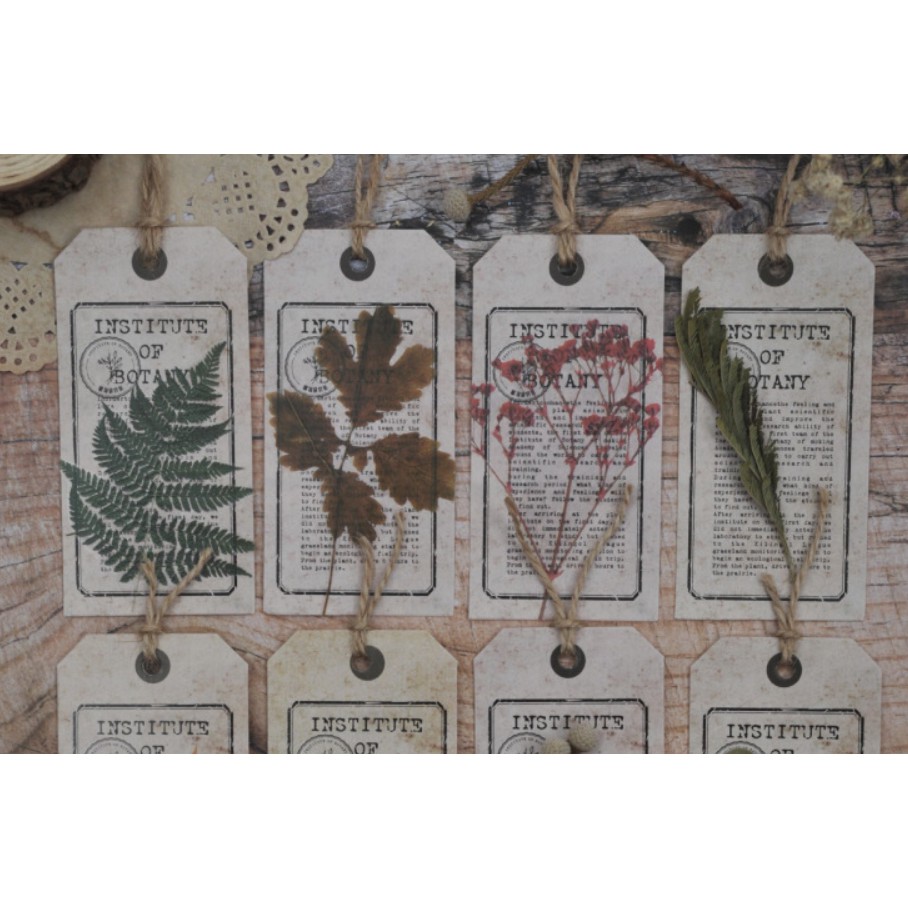Bộ sticker hoa lá vintage hoài cổ trang trí scrapbook, sổ tay planner,...