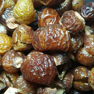Bồ hòn tuyển đặc biệt cuối mùa