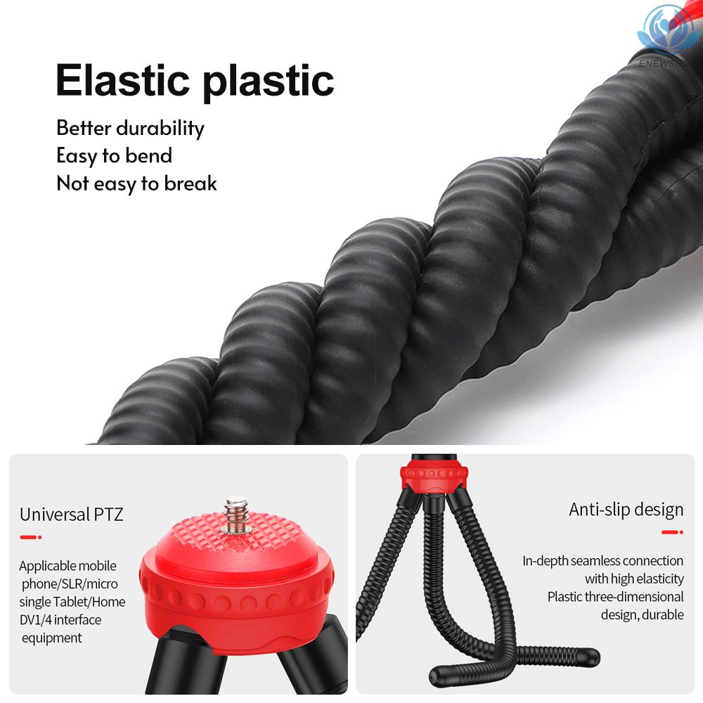 Vòng Đèn Led Ba Màu Thông Minh 10 Inch Kèm Điều Khiển Từ Xa Bt | BigBuy360 - bigbuy360.vn