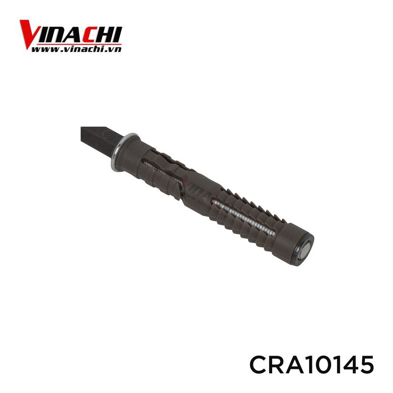 Chốt ren âm kệ treo tường 10 x 145 mm