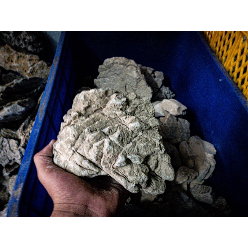 Đá Da Voi  | Trang trí Thủy Sinh, Biotope, Iwagumi,....|