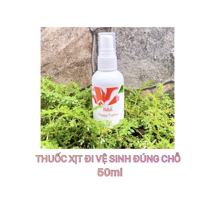 Chai xịt đi vệ sinh đúng chỗ cho chó mèo Magic 50ml - 55k
