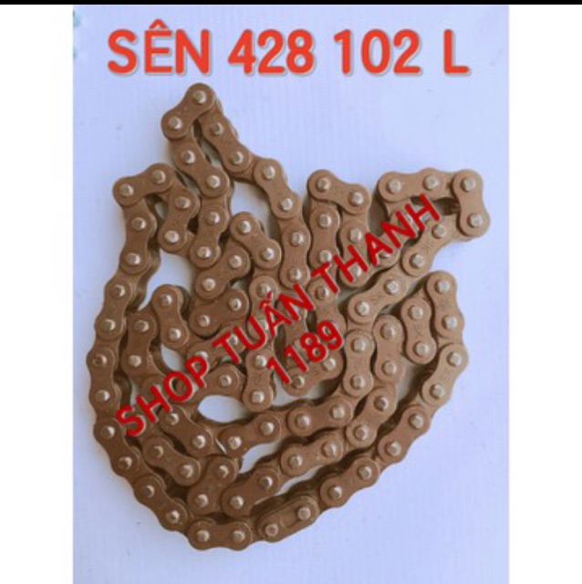 NHÔNG SÊN DĨA 14_28 DR WAVE ALPHA