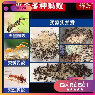 Thuốc Diệt Kiến Gián Tận Gốc