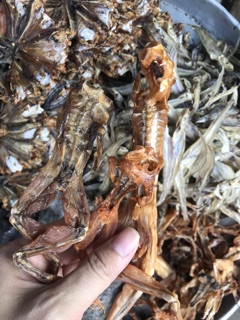 Khô lóc long an 250k/kg