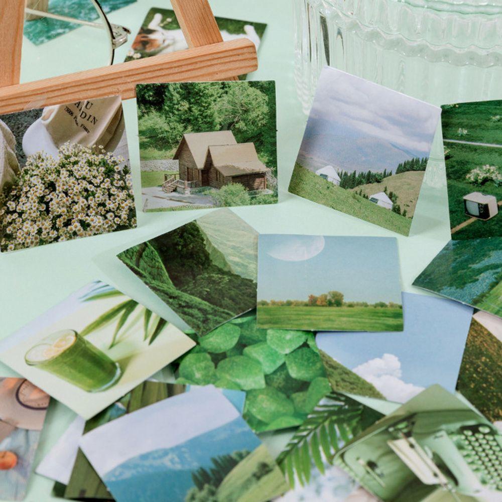 Sticker Dán Trang Trí Sổ Tay Hình Cây Xanh Rừng Phong Cách Hàn Quốc