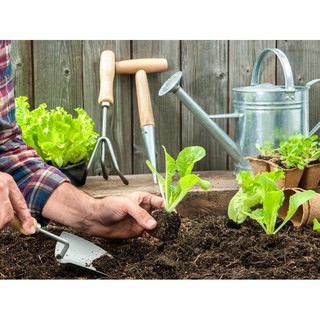 ĐẤT TRỒNG CÂY ĐA NĂNG 6.5DM