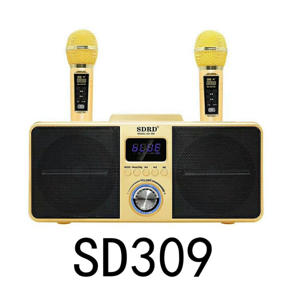 LOA KARAOKE SD-309