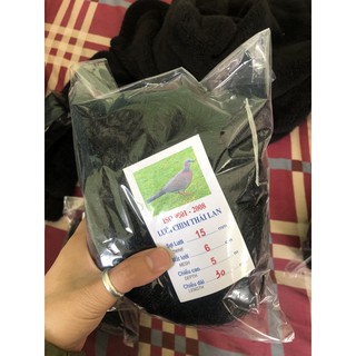 [Sale 5%] LƯỚI BẪY CHIM TÀNG HÌNH THÁI LAN 30M