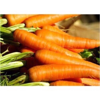 Cà rốt Đà Lạt xanh, sạch, tươi ngon .