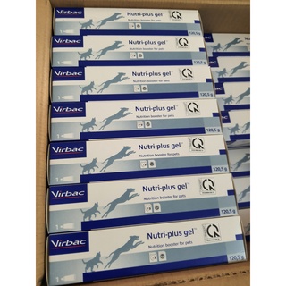 Gel dinh dưỡng chó mèo nutri plus gel