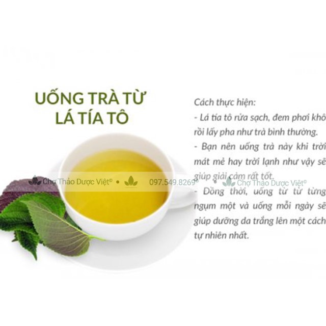 Tía tô khô, thơm, sạch 500g ( Trà tía tô sấy khô, nguyên liệu nấu nước xông giải cam) - Chợ Thảo Dược Việt