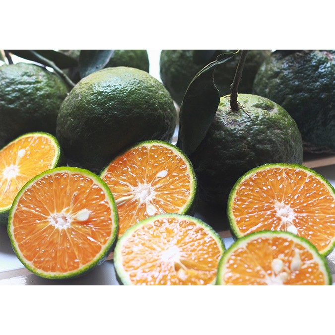 Cam Sành Miền Tây