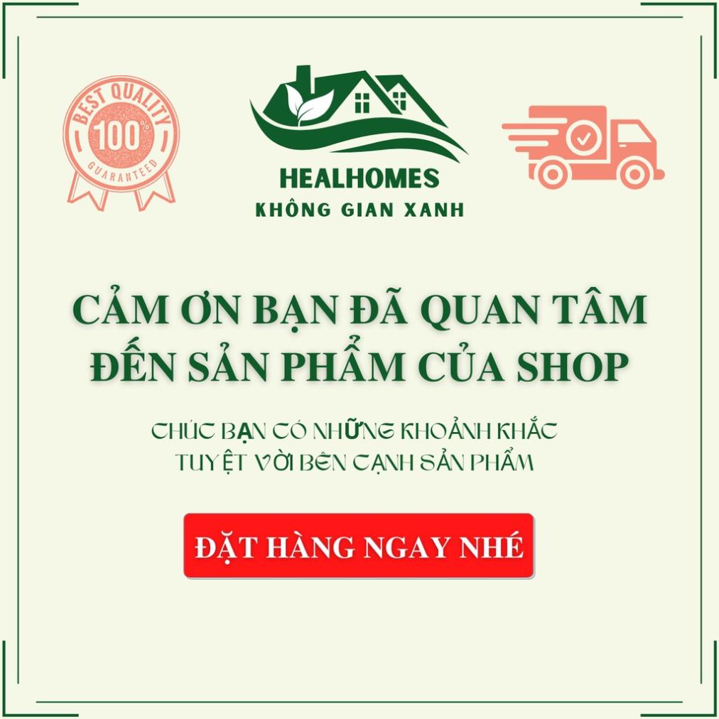 Ghế mây thư giãn bập bênh ngoài trời kèm nệm vải bố chuẩn kích thước dùng cho người lớn đọc sách, xem tivi / HealHomes