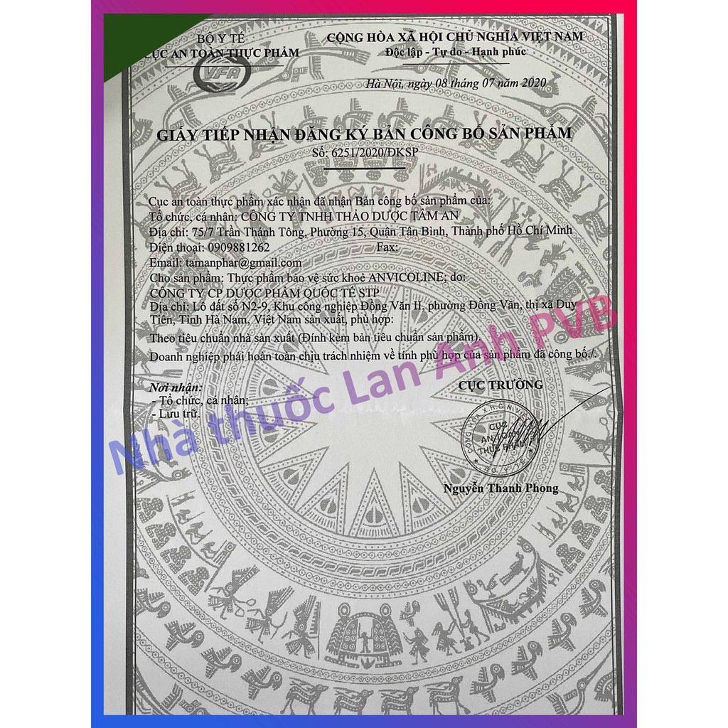ANVICOLINE  - Hỗ trợ hoạt huyết, tăng cường tuần hoàn máu não.