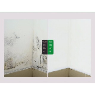 Loại bỏ nấm mốc cleaner