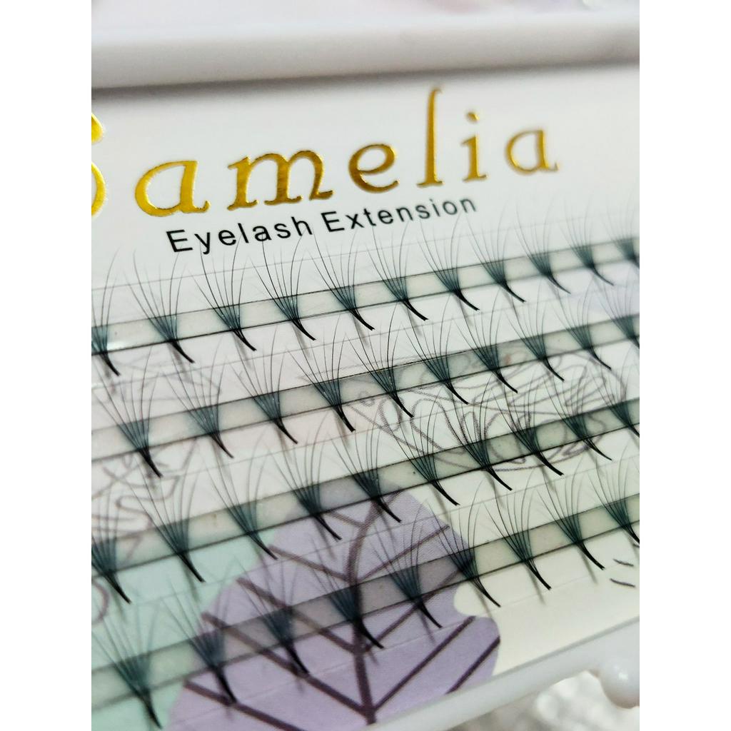 Fan 6D Mi Hoa Sơn Trà