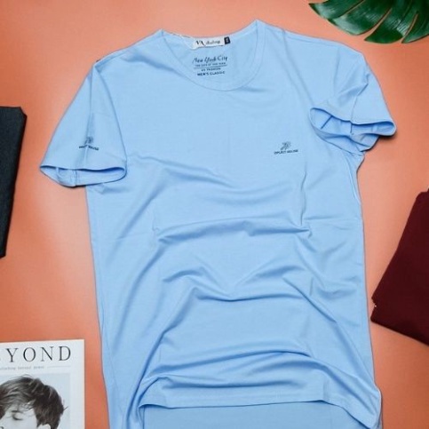 Big Sale Áo Thun Nam  Giá Rẻ Cổ Tròn  Nhiều Màu Tay Ngắn, Chất Cotton Co Giản Nhẹ Bề Mặt Vải Mềm Mịn - Petals_store