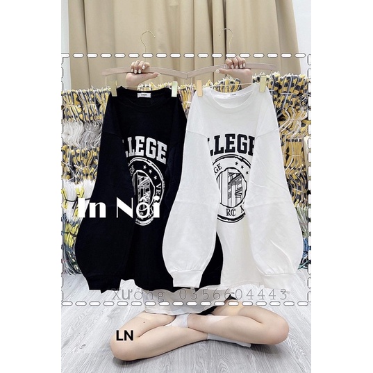 Áo nỉ bo cotton tay llege LN12