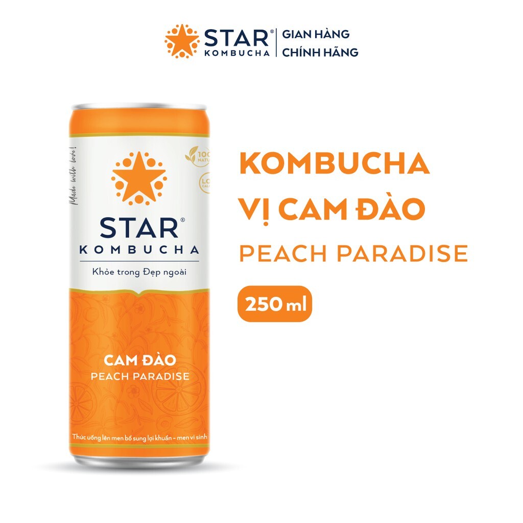 Combo 2 thùng 12 lon trà STAR KOMBUCHA mix vị  (250ml/lon) - Trà lên men vi sinh chứa probiotics